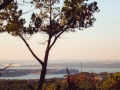 mcb-lake-ridge-estates-002.jpg
